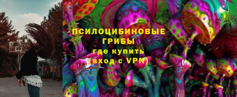 Галлюциногенные грибы Magic Shrooms  гидра ТОР  Малаховка 